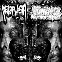 Shitstench : Shitstench & Metaplasia